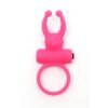 Anillo para el Pene Rome Rosa