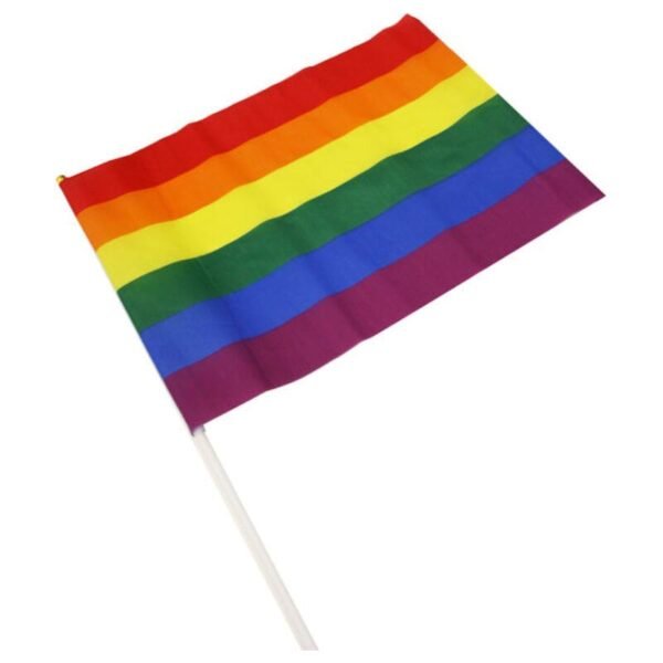 15106 Banderin Mediano Colores Bandera LGBT+