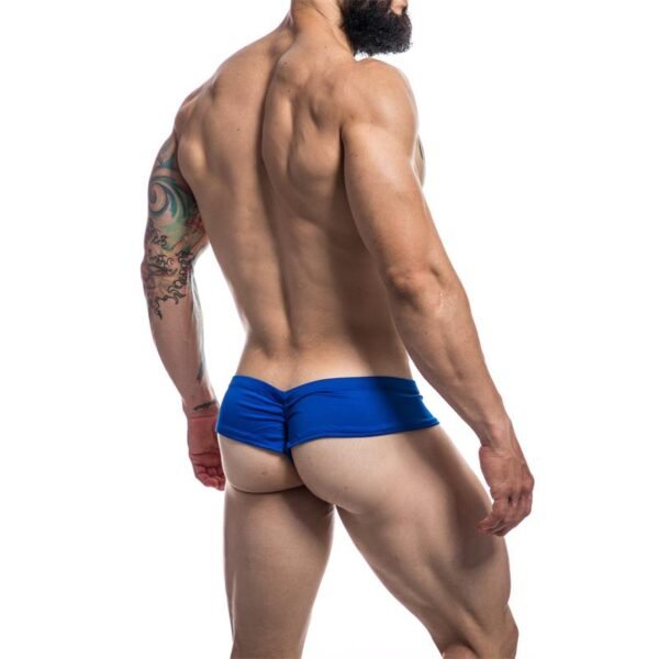 1077 Cheeky Brief Provocative Royal Blue