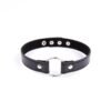 Collar con Aro Ajustable 38,2 cm Negro