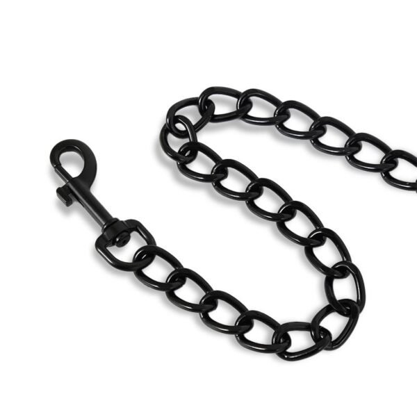 10033 Collar con Correa que Brilla en la Oscuridad