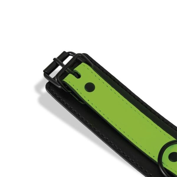 10033 Collar con Correa que Brilla en la Oscuridad