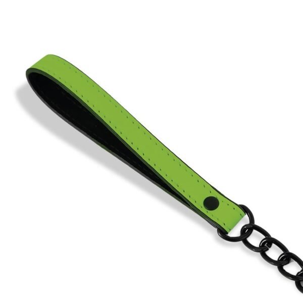 10033 Collar con Correa que Brilla en la Oscuridad