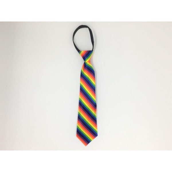 13107 Corbata Bandera Orgullo LGBT+