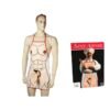 Delantal Hombre Pene Relieve