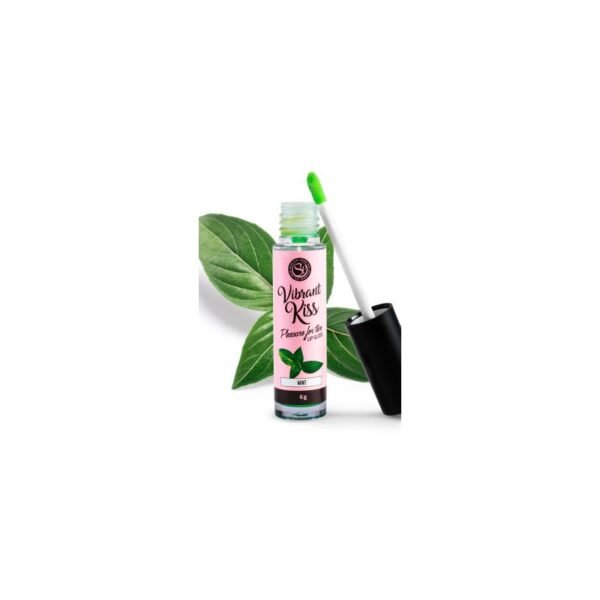 14606 Lip Gloss Vibrant Kiss Sabor Menta