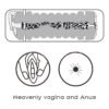 Masturbador Masculino Virgin-skin Vagina y Ano