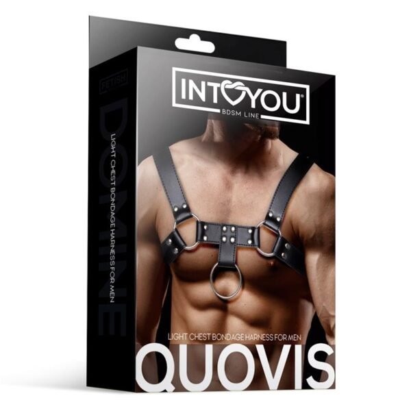 5851 Quovis Arnés Masculino para Bondage Cuero Vegano