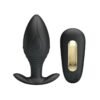 Regina Royal Plug Anal con Control Remoto USB