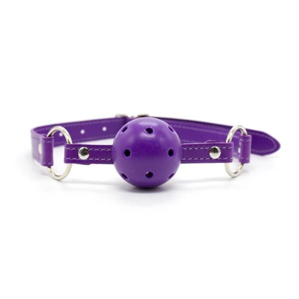 Set Bondage de 10 Piezas Púrpura