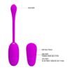 Shock Fun Huevo Vibrador con Electro Shock y Control Remoto