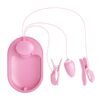 Surprise Box Huevo Vibrador y Pinzas para Pezones con Electro Estimulación Rosa