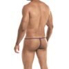 293 Tanga G-String Provocative Estampado Serpiente